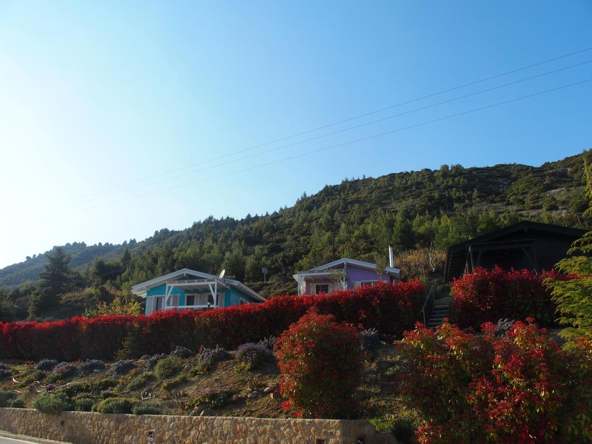 Ktima Noosfera Wellness & Retreat Center Hotel Karia  Exterior photo